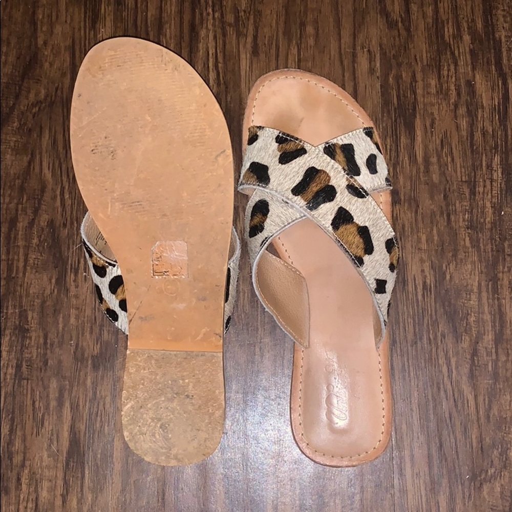 Ariat Sandals
